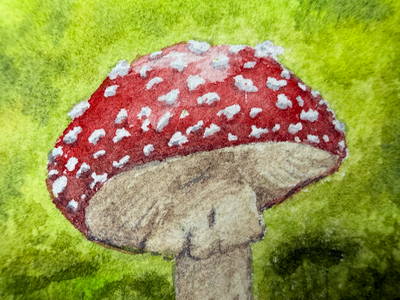 Mushroom in Grass aceo art card thumbnail 2