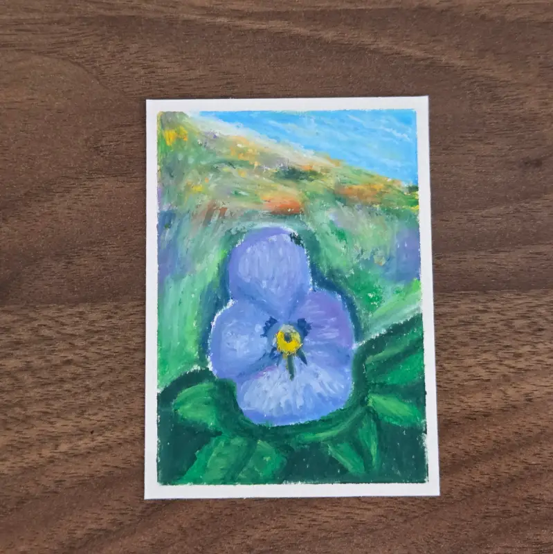 Viola aceo art card