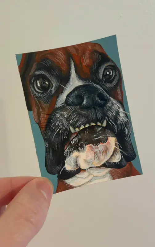 Silly Boxer Dog Face aceo art card