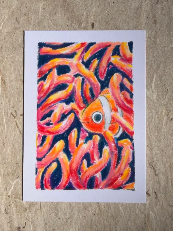 Peekaboo - Clownfish aceo art card