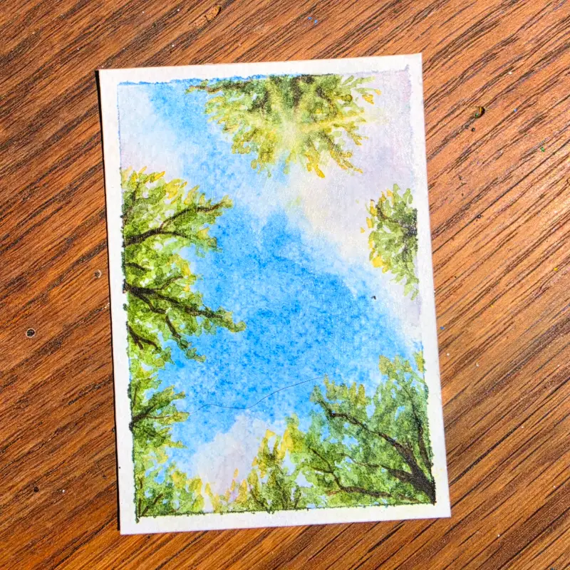 Sunlight Through Branches aceo art card