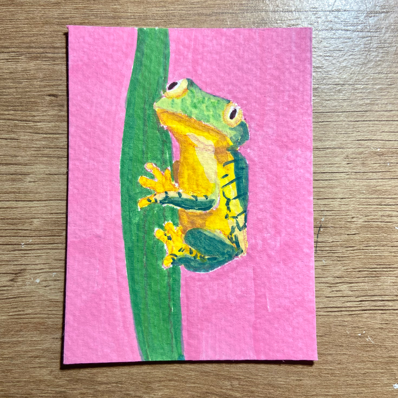 Frog aceo art card