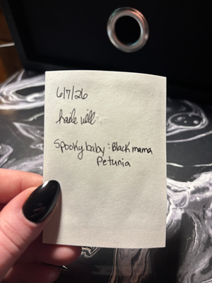Spooky Baby: Petunia aceo art card thumbnail 3