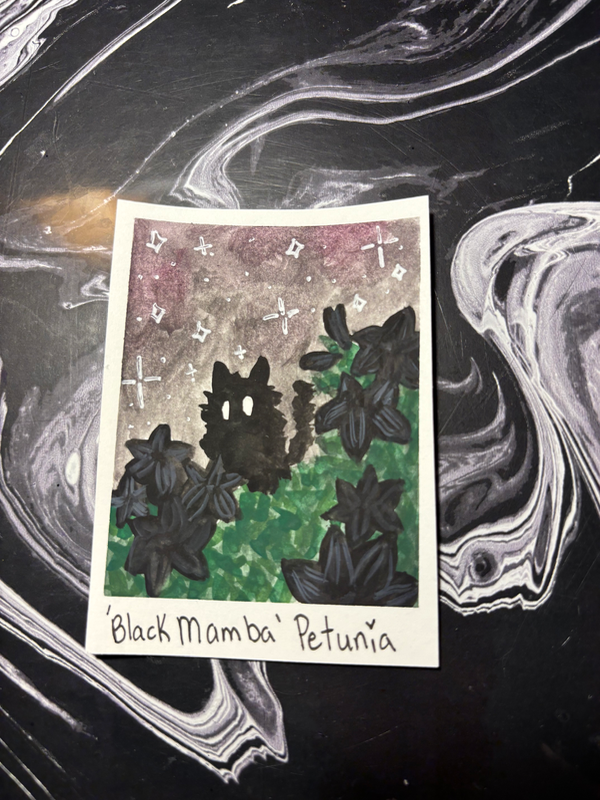 Spooky Baby: Petunia aceo art card