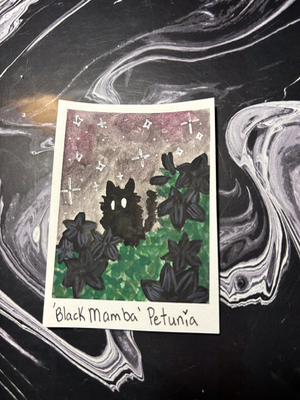 Spooky Baby: Petunia aceo art card thumbnail 1