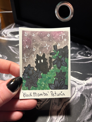 Spooky Baby: Petunia aceo art card thumbnail 2