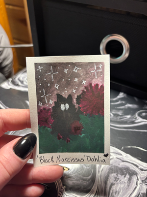 Spooky Baby: Dahlia aceo art card thumbnail 2
