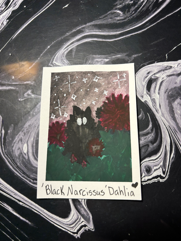 Spooky Baby: Dahlia aceo art card