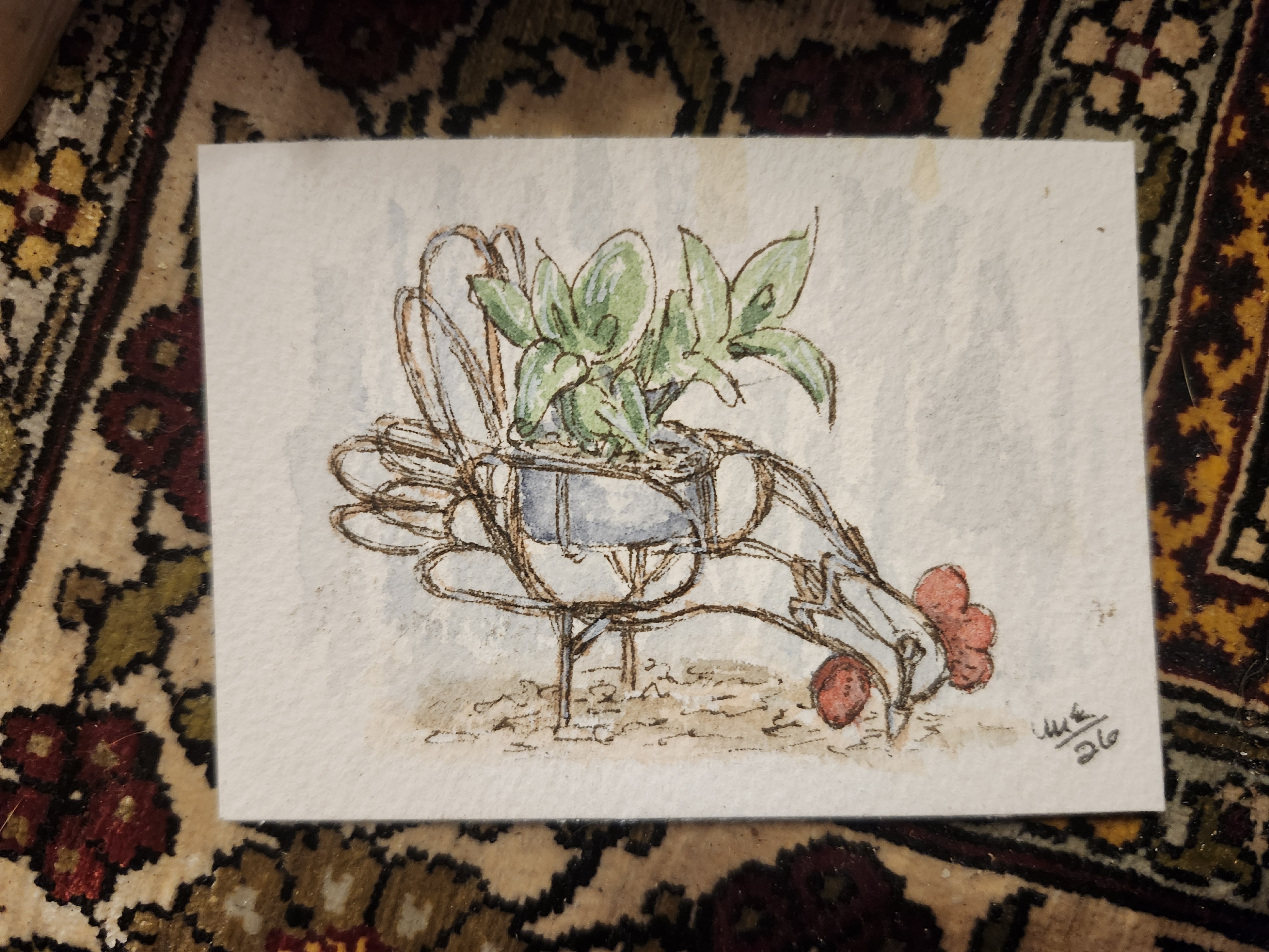 Hen and Hostas aceo art card