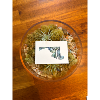 Maryland: Blue Crab aceo art card thumbnail 1
