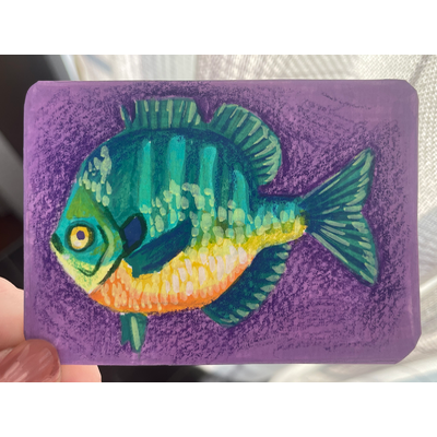 Bluegill on purple - original by Norah Mae aceo art card thumbnail 2