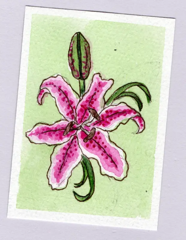 Stargazer aceo art card