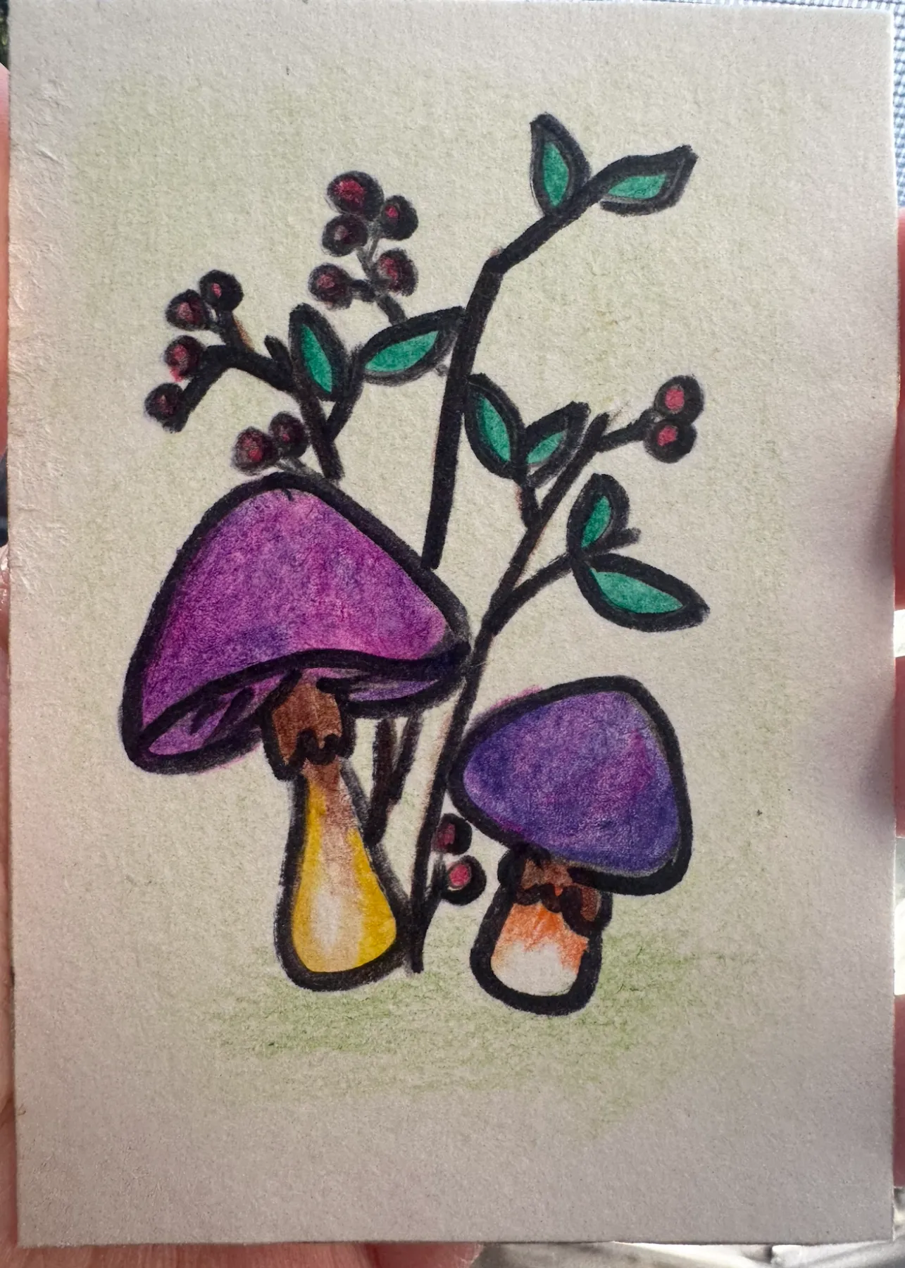 ACEOs Original Art Drawing , Mushroom Series 1 No. 3 of 6 , Color pencil aceo art card