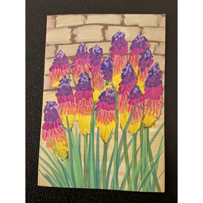 Red Hot Pokers aceo art card thumbnail 2