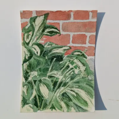 Hosta aceo art card thumbnail 3