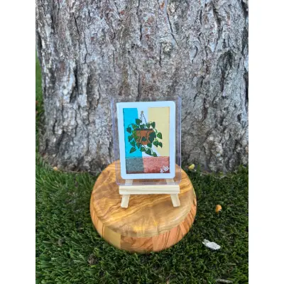House Plant VI: Series I aceo art card thumbnail 1