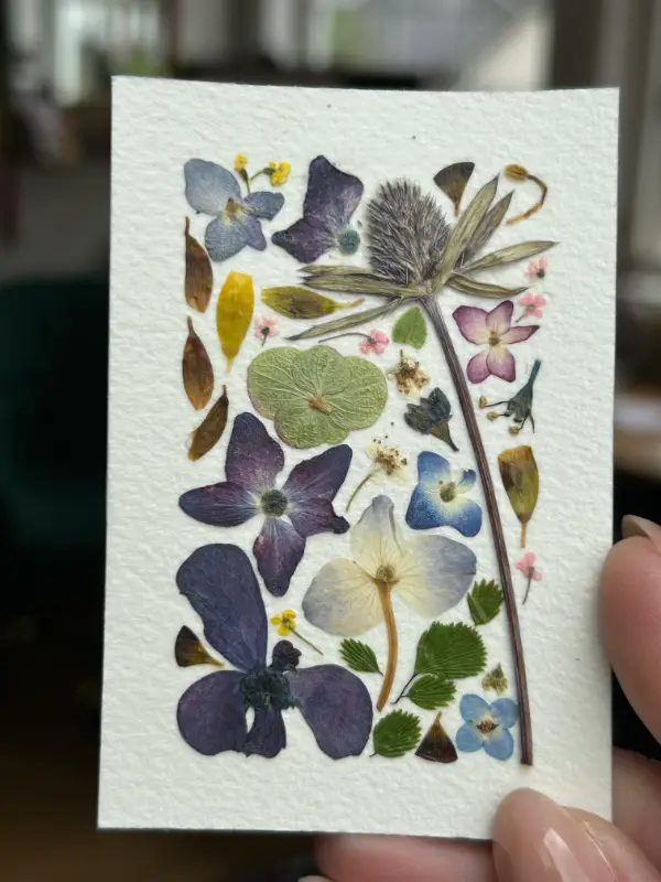 Pressed Flowers #6 aceo art card