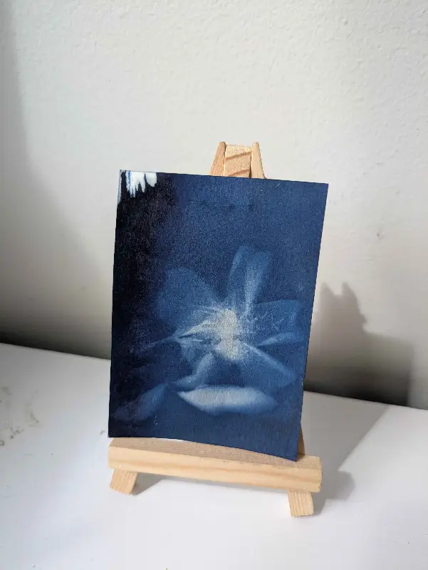 Flower Cyanotype aceo art card