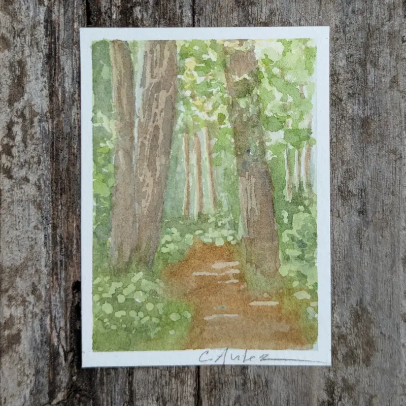 Boy Scout Trail #2 aceo art card
