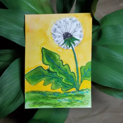 Yellow Dandelion Puff aceo art card thumbnail 1