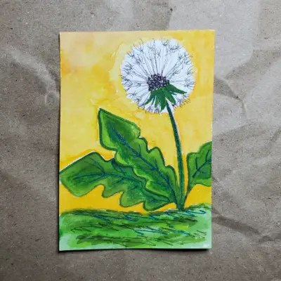 Yellow Dandelion Puff aceo art card thumbnail 2
