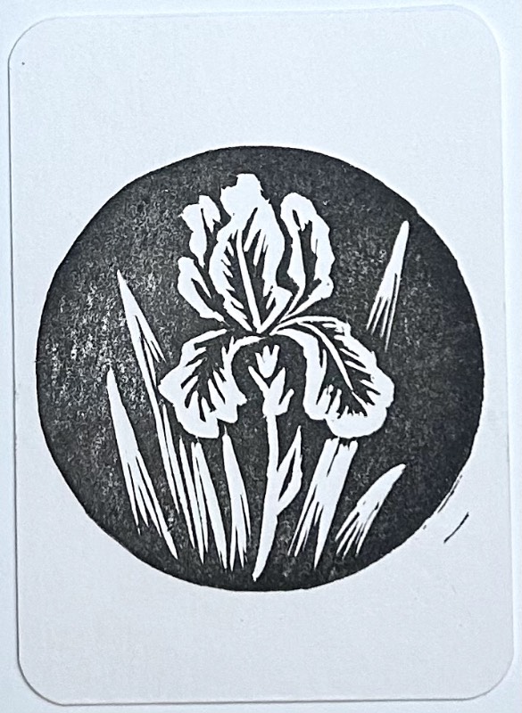 Iris 4 aceo art card