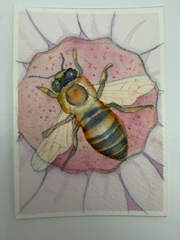 Honey Bee aceo art card