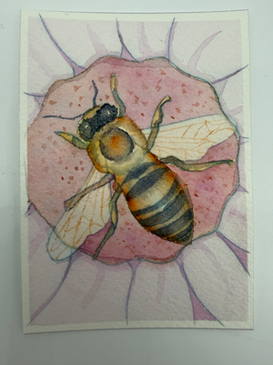 Honey Bee aceo art card thumbnail 1