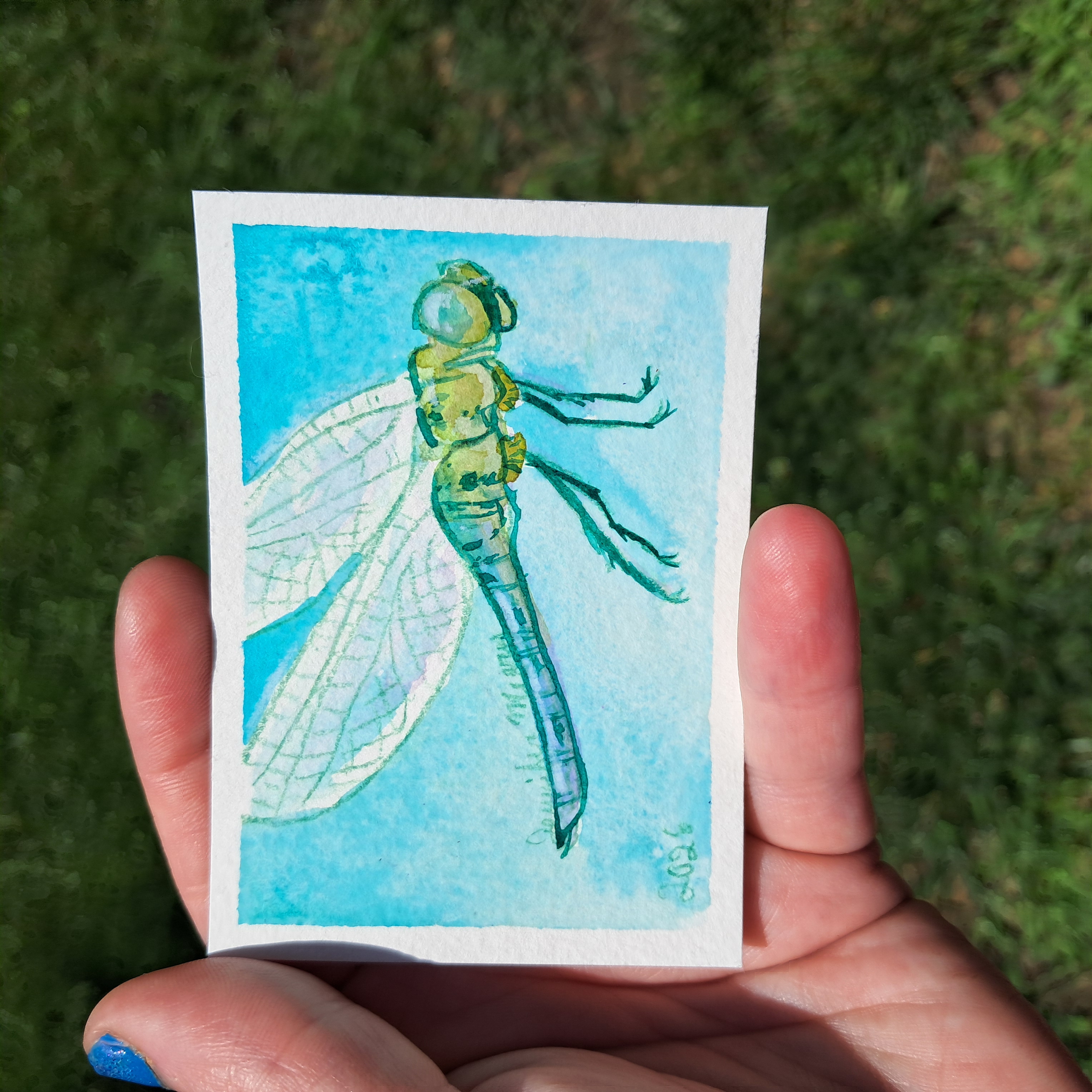 Dragonfly Series - Green Darner Watercolor ACEO aceo art card