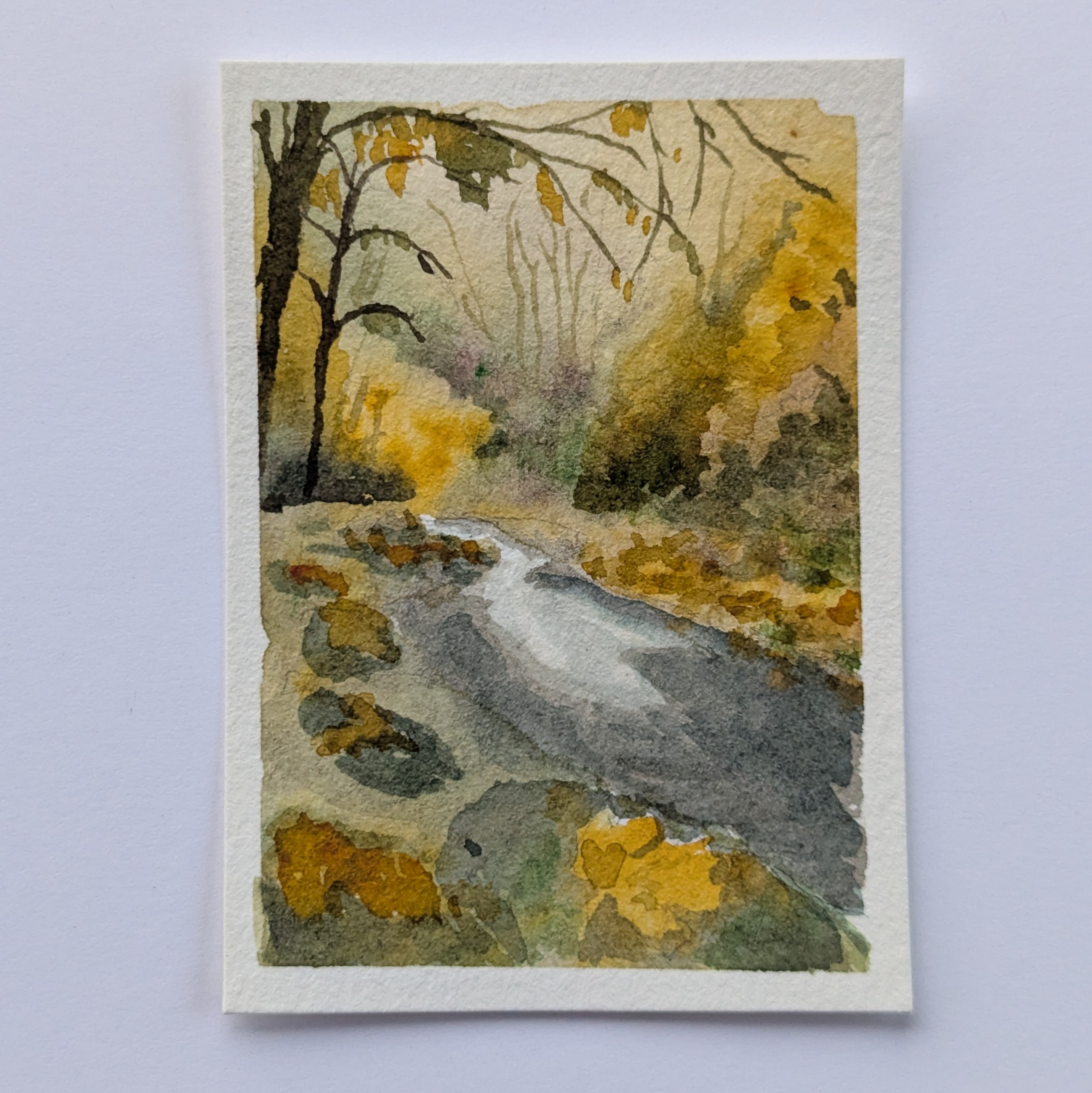 S. Santiam in Fall aceo art card thumbnail 4