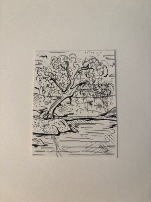 Willow in Ink aceo art card thumbnail 1