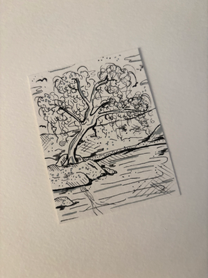 Willow in Ink aceo art card thumbnail 2