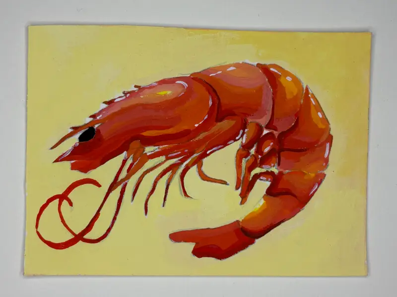 the humble shrimp aceo art card