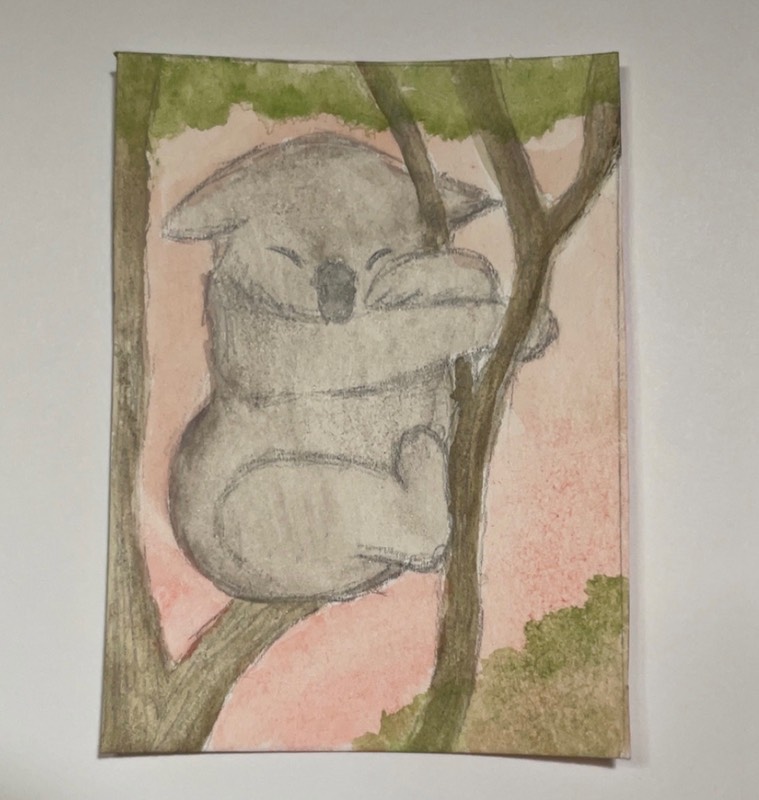 Cuddly Koala aceo art card