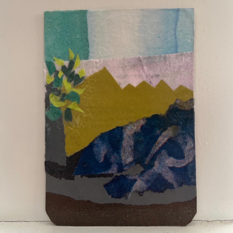 Sapling aceo art card
