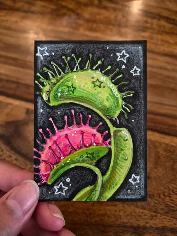 "Venus Flytrap" aceo art card