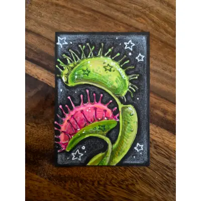 "Venus Flytrap" aceo art card thumbnail 3