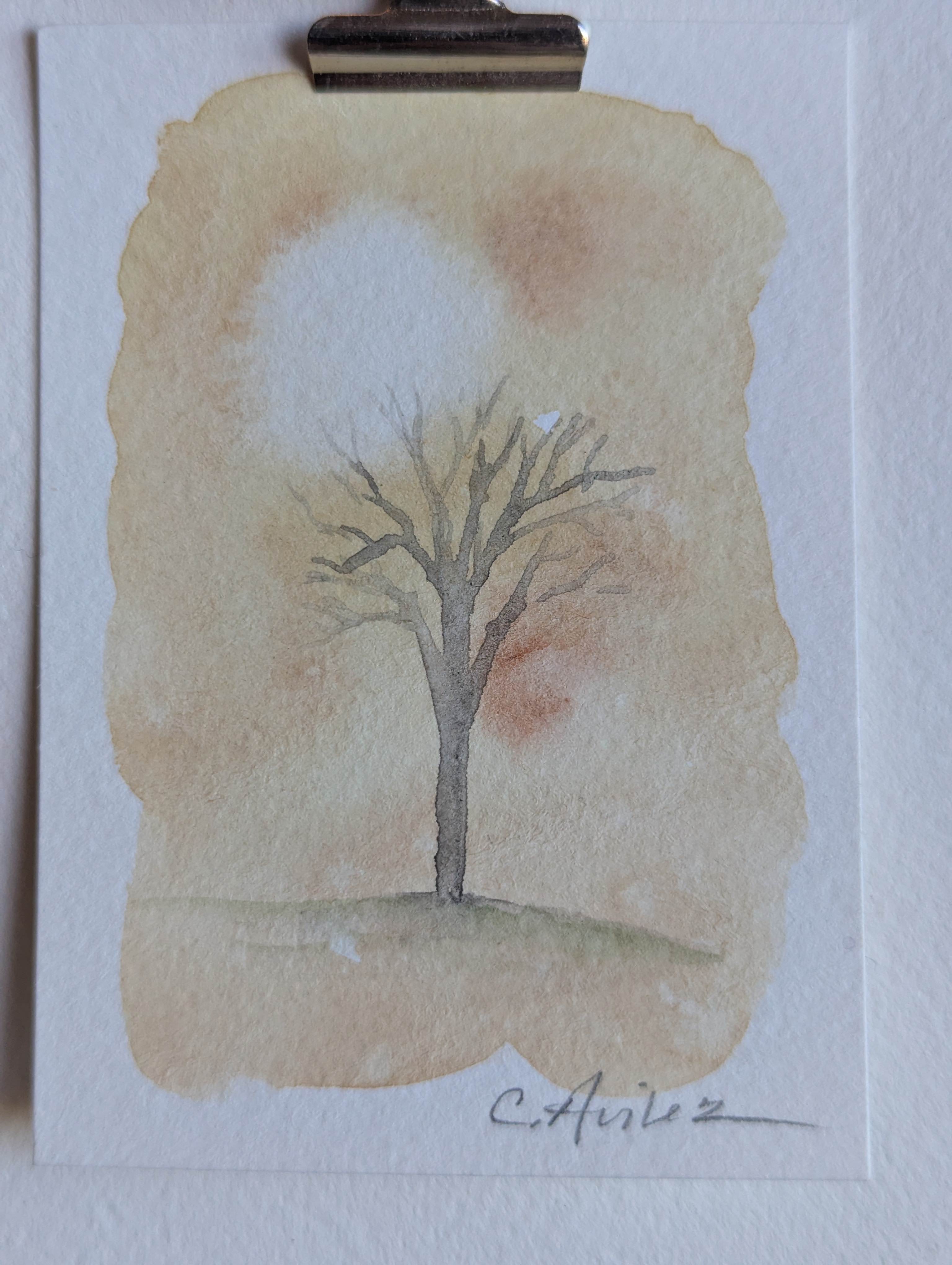 ACEO Original Watercolor Bare Tree Against a Moody Sky aceo art card thumbnail 2