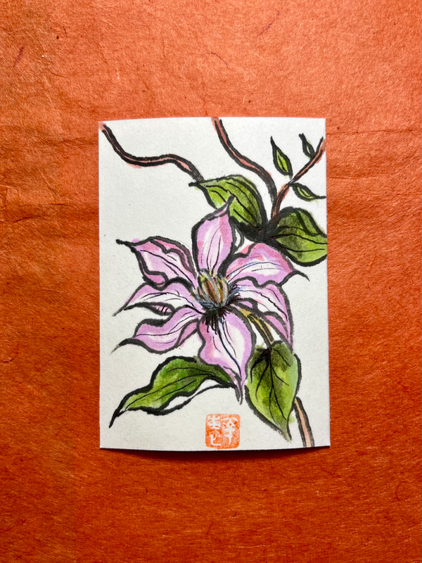 Clematis pink with sumi ink aceo art card