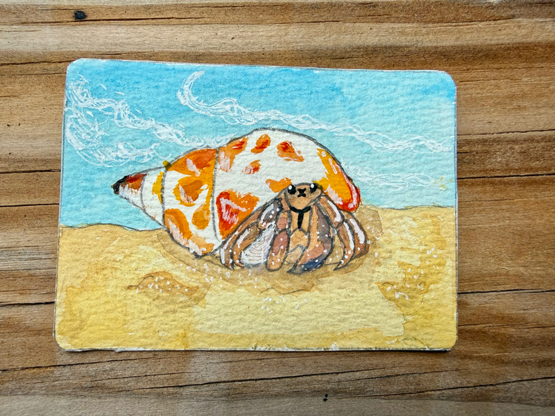 ACEO original “Hermit Crab” bayleebowenart aceo art card