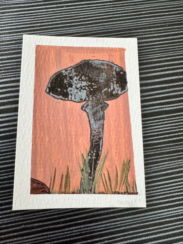 Moody Mushroom 1 & 2 aceo art card