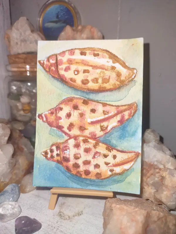 ACEO Original Artwork, Sea shells, Ocean, Water, Watercolors aceo art card