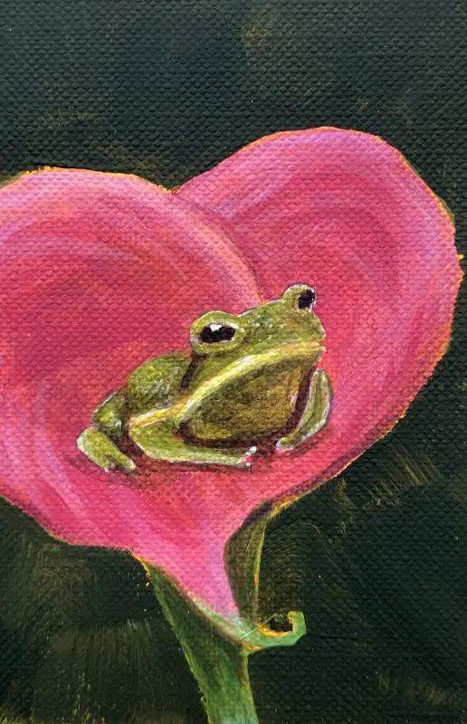 Frog in a Pink Calla Lily aceo art card