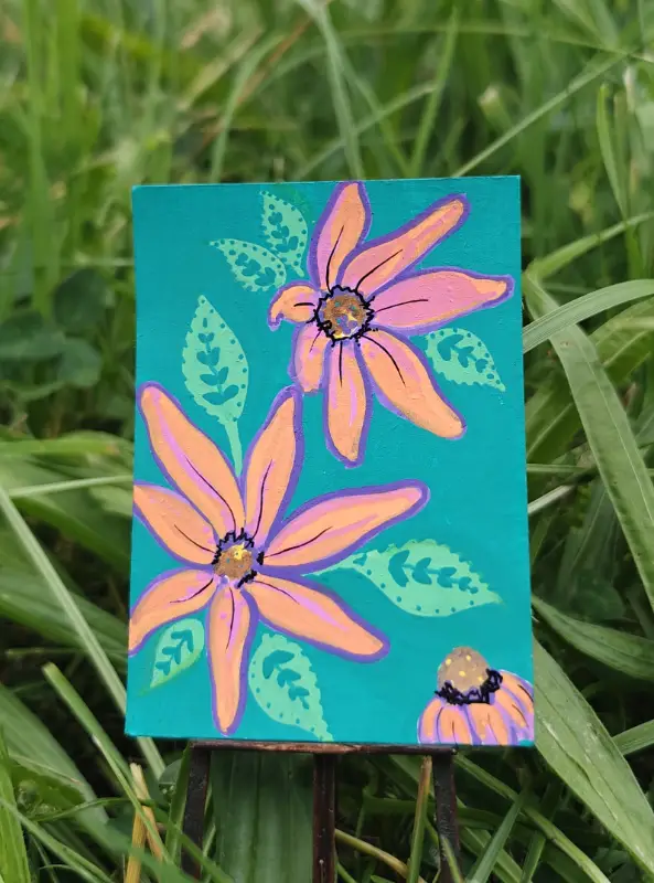 Echinacea | Molls aceo art card