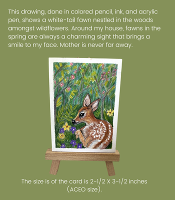 Fawn in the Woods ACEO - Colored Pencil & Ink on Illustration Board aceo art card thumbnail 2