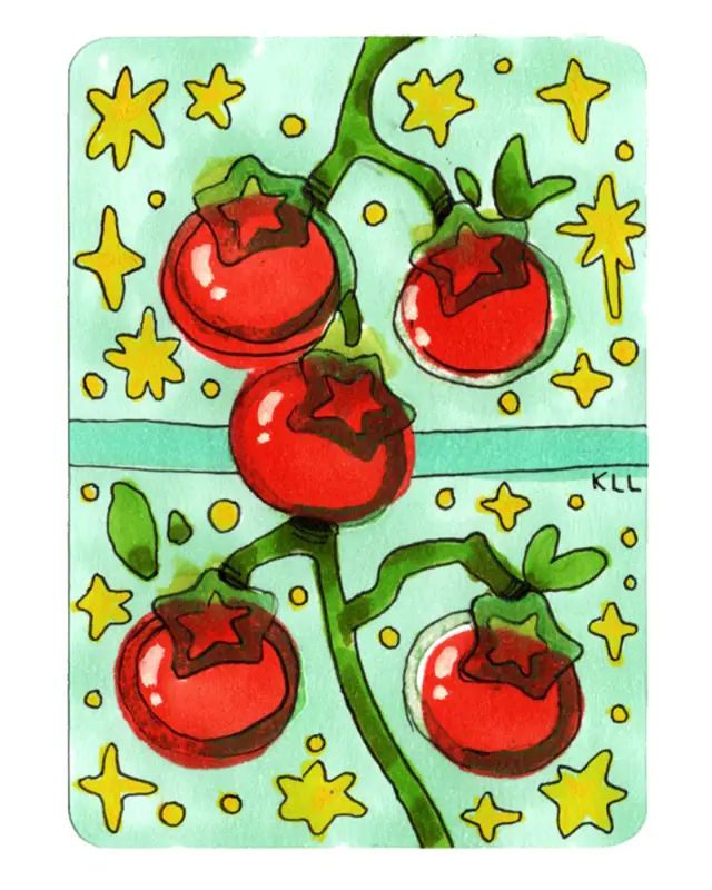 Tomato Lino 2 -- ACEO 18 aceo art card