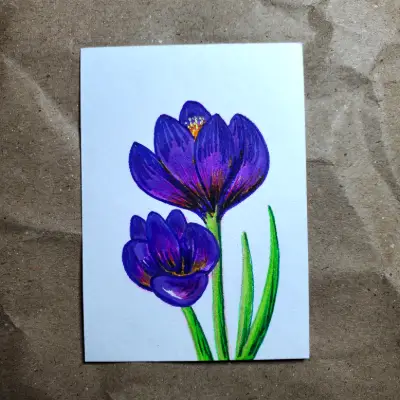 Spring Crocus aceo art card thumbnail 2
