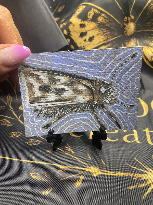 Skipper Mirage aceo art card