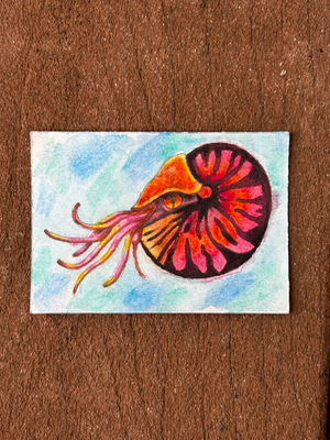 Nautilus Ocean Sea Creature - Water Color aceo art card thumbnail 2