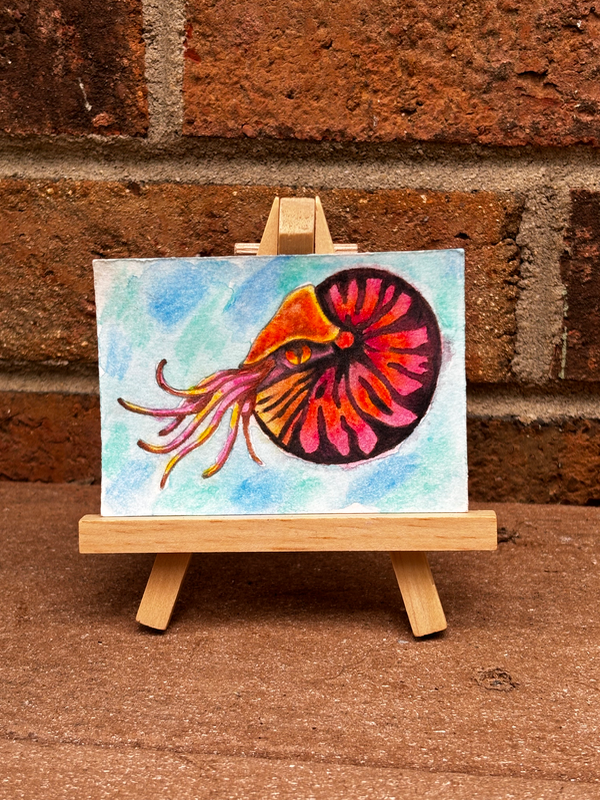 Nautilus Ocean Sea Creature - Water Color aceo art card